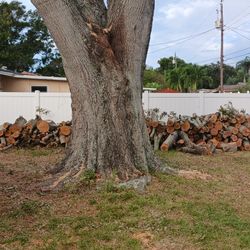 Free Firewood. Donation Is OK. It's Cut Up Clean And Ready To Bless You And Your.