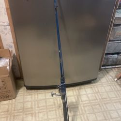 Reel /rod 