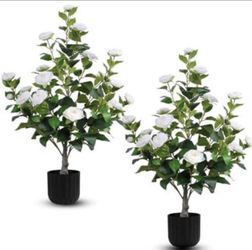 Hananona 2 Pcs Artificial Camellia Trees Faux Camellia Plant in Pot 