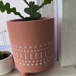 Luxury Planters