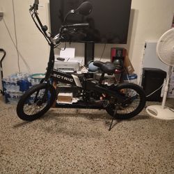 Lectric E Bike