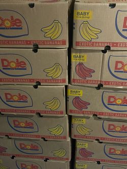 Exotic baby bananas