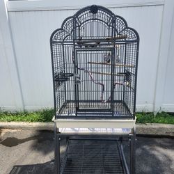 Bird Cage