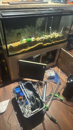 50 Gallon Fishtank
