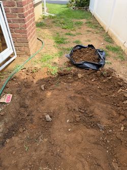 Free soil