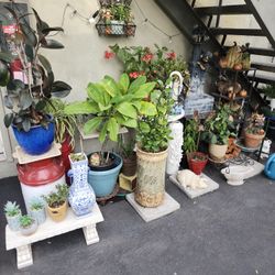 Big Plant Yard Sale Friday Feb 5! Everything Is For Sale!
