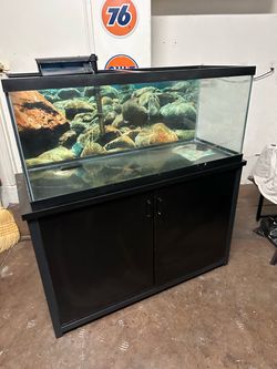 Newer complete 75 gallon fish aquarium tank, stand and all supplies