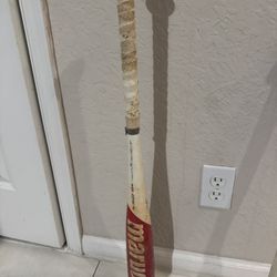 Marucci Cat 8 29/19