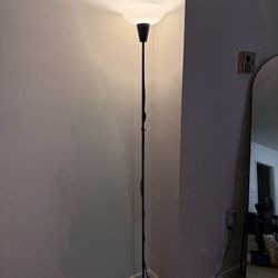 Floor Lamp woth Bulb