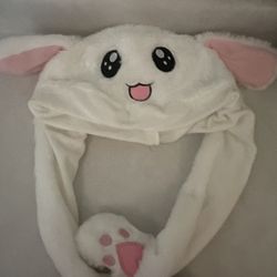 Bunny Ears- Like New 