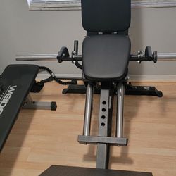 Leg Press Force
