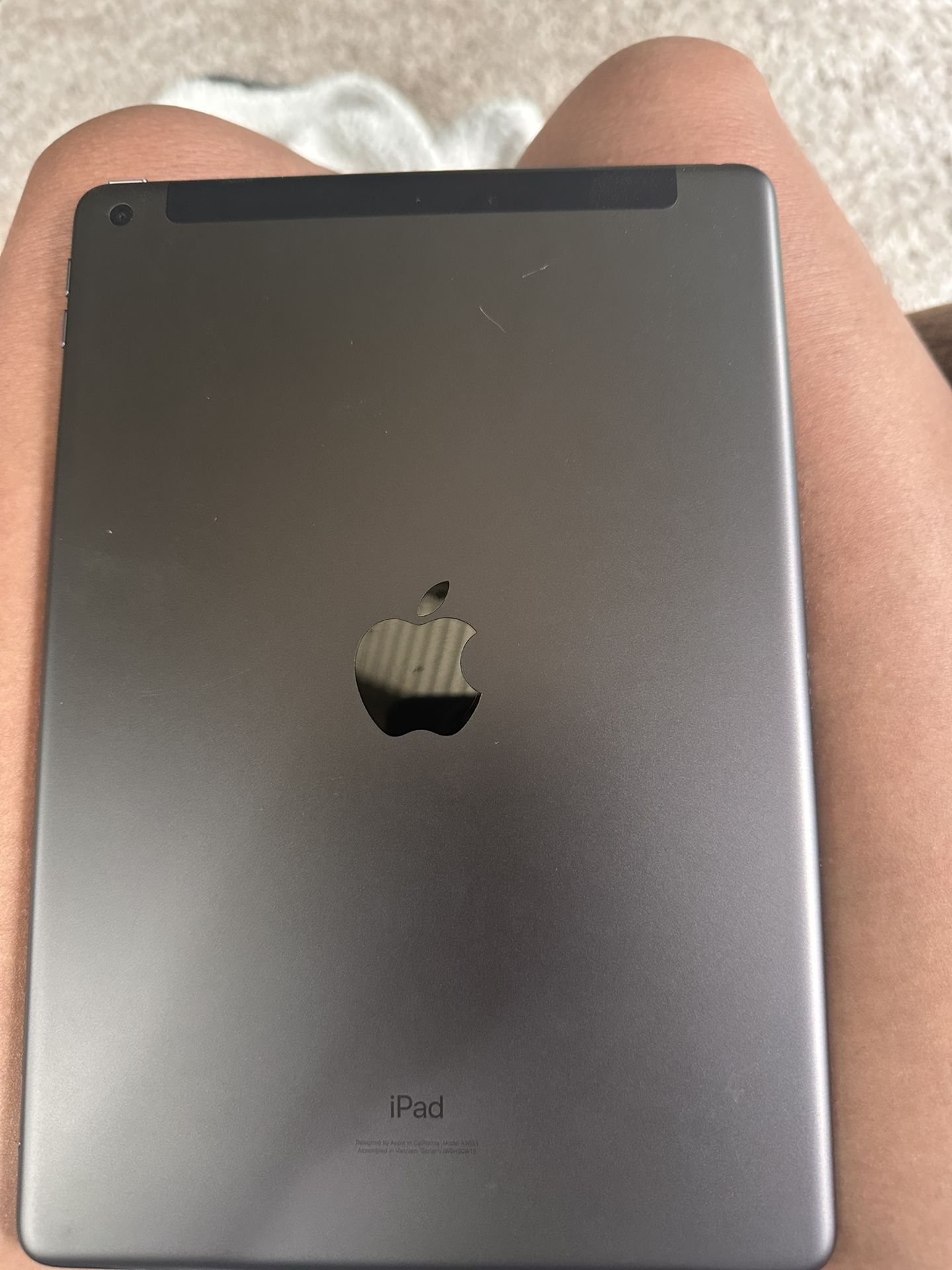 Apple Ipad