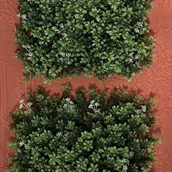 Boxwood Mat/Panel, 10” X 10”