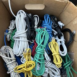 Box Full Of Ethernet Cables Various Sizes And Colors For Office / Work Selling All Or Lot