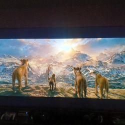 70" VIZIO 4K MONITOR WITH REMOTE AND HDMI PORTS $600 FINAL PRICE 