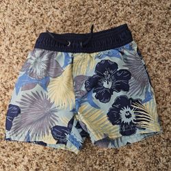 Toddler Boys 18 Month Swim Shorts