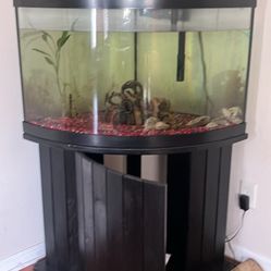 55 Gallon Tank and stand 