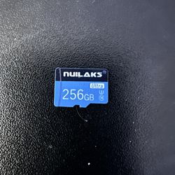 256gb Micro SD Card