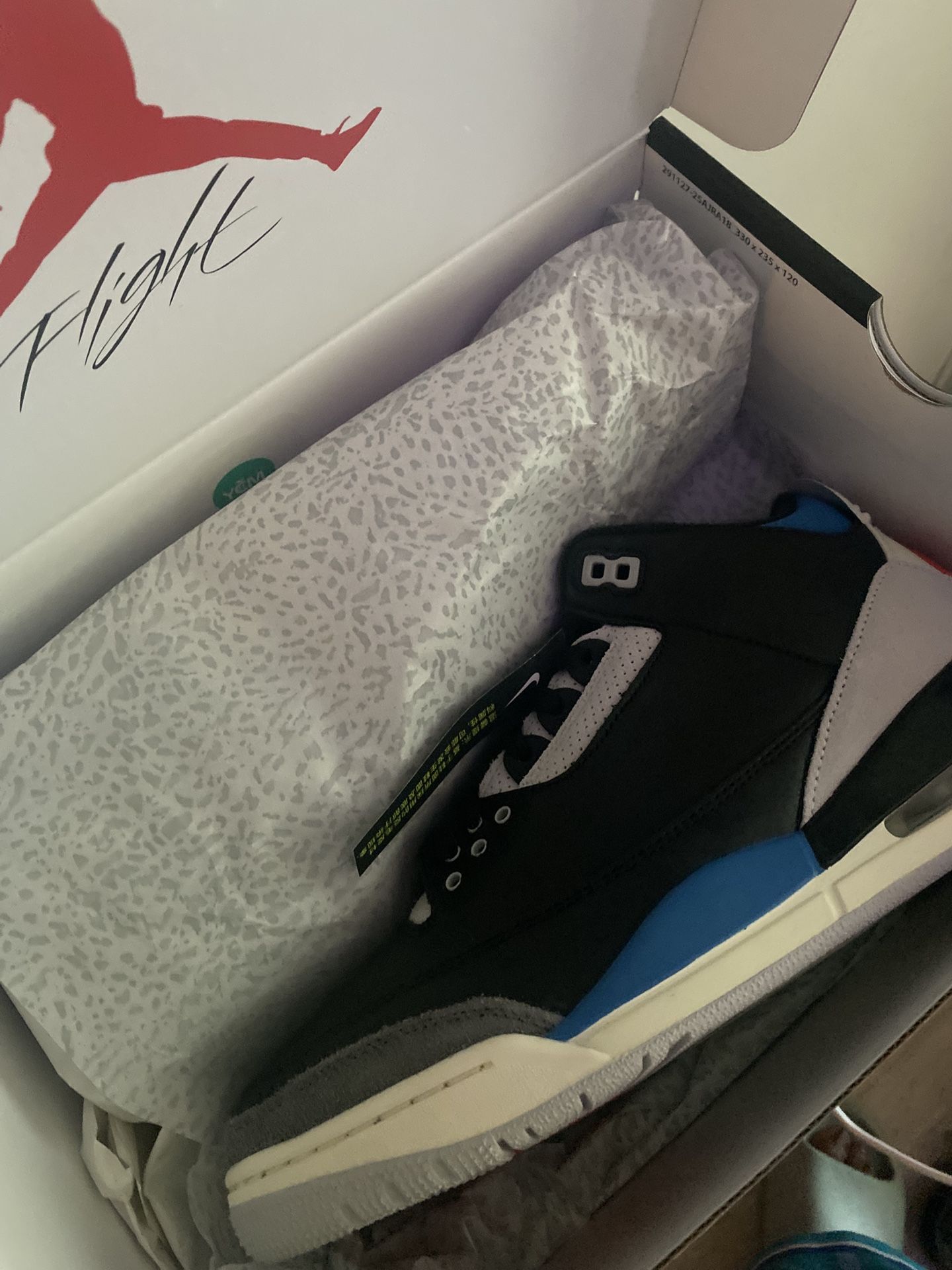 Jordan 3s Size 9.5