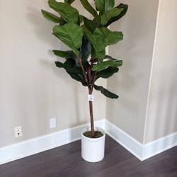 Faux Fiddle Tree