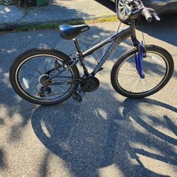 Schwinn 24'  21 Speed Sidewinder Bike