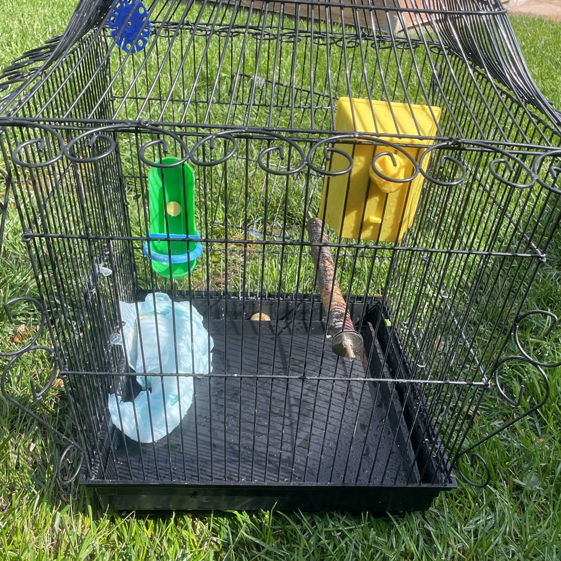 Birdcage