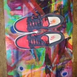 Nike SB Dunks. Size 11 Red Navy Blue &White Mens