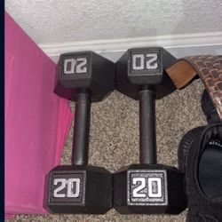 20 pound weights 