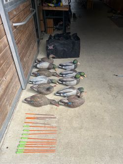 Duck goose decoys and bags