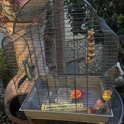 Bird Cage With Accessories 