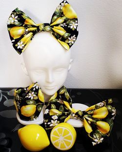 Lemon Lemonade set