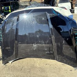 2019 Ford F150 Hood 