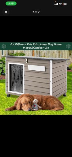 Dog House