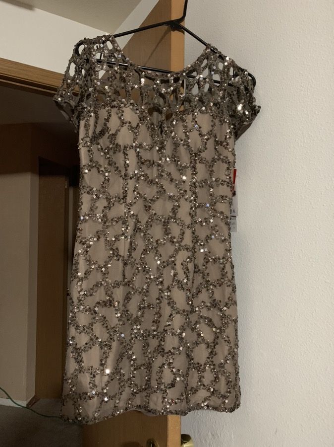 Shail K sequin dress