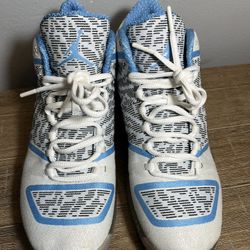 Nike Air Jordan 29 Pantone Silver White (717796-108), Size 8