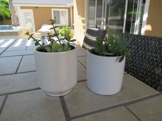 Set Of Off White & White Glossy Garden Pots With Succulents