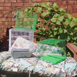 Bird Cage Set
