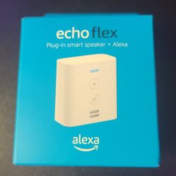 Amazon Echo Flex