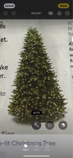 Christmas tree