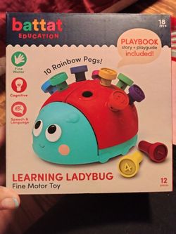 Learn And Play Ladybug