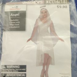 Adult Women Angel Costume