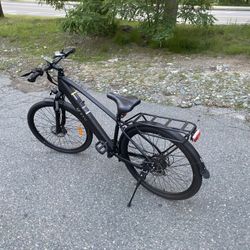 DYU E-Bike