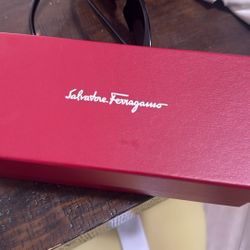 Salvatore Ferragamo Sunglasses 