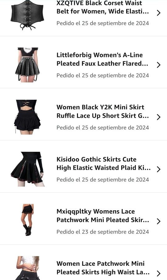 Gothic or Punk skirts & Corset