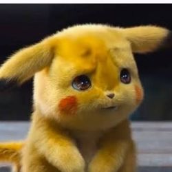 PLUSH Pokemon Fur Animals 