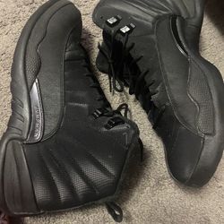 Retro Jordan 12