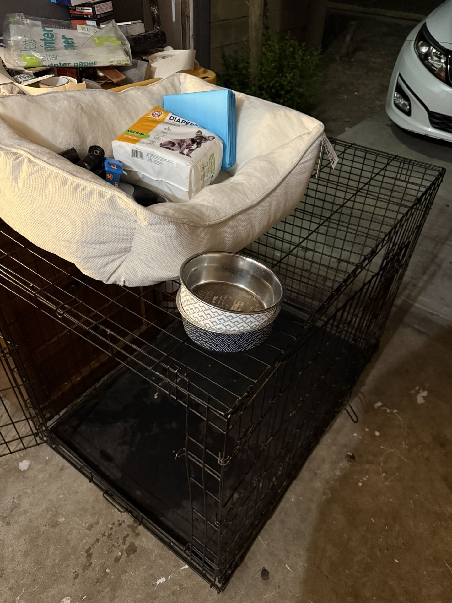 Dog Necessities