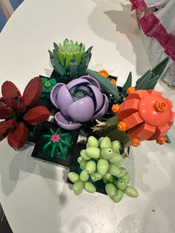 LEGO Icons Succulents Plants