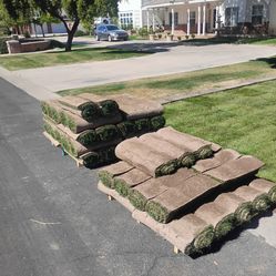 Sod for sale