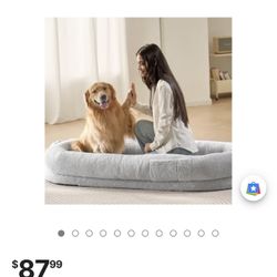 Human Dog Bed